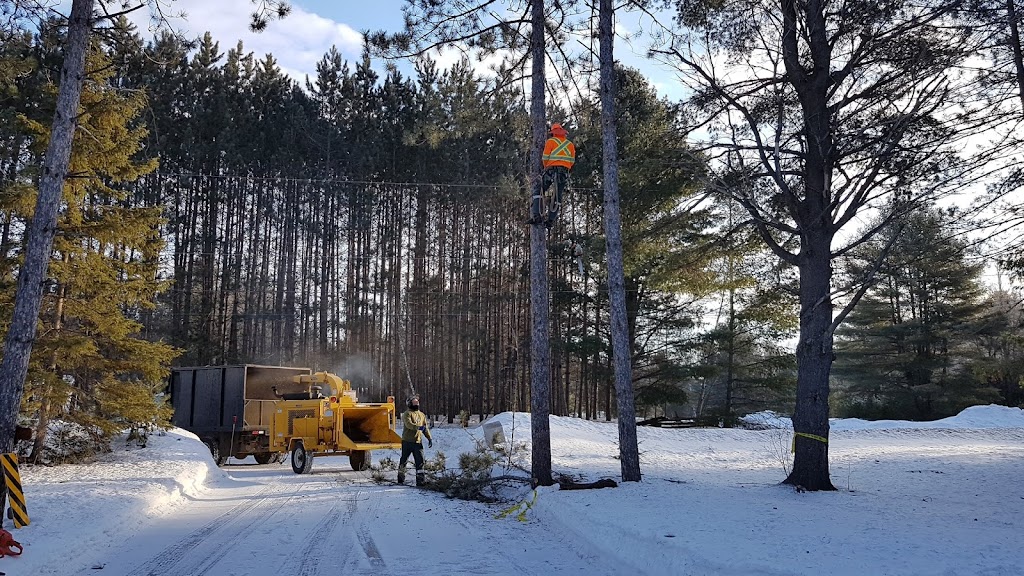 Cooneys Tree Svc | 531 Clear Lake Rd, Bancroft, ON K0L 1C0, Canada | Phone: (613) 332-2290