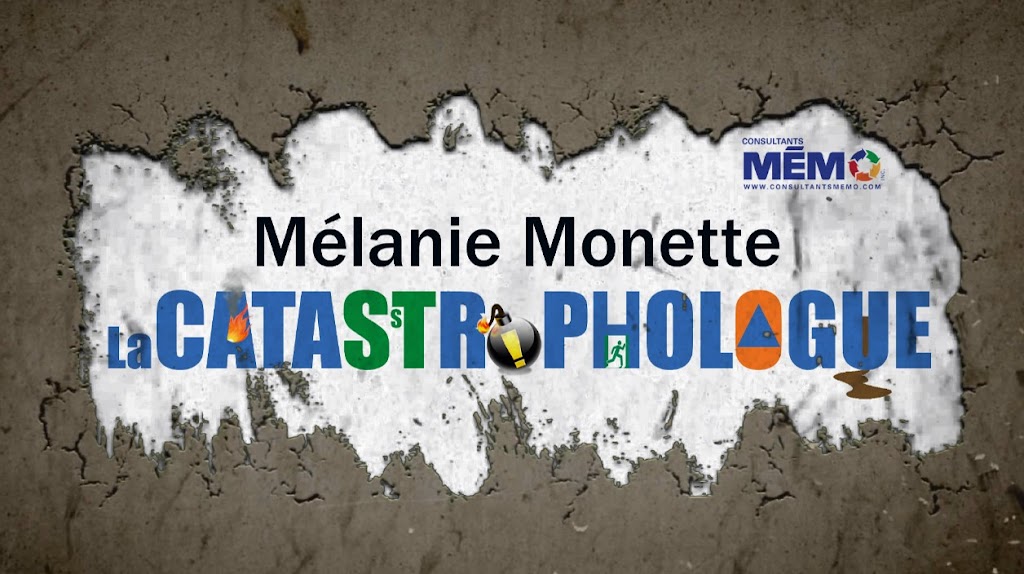Consultants MÉMO inc. | 2090 Rue Richard, Rawdon, QC J0K 1S0, Canada | Phone: (514) 771-6366