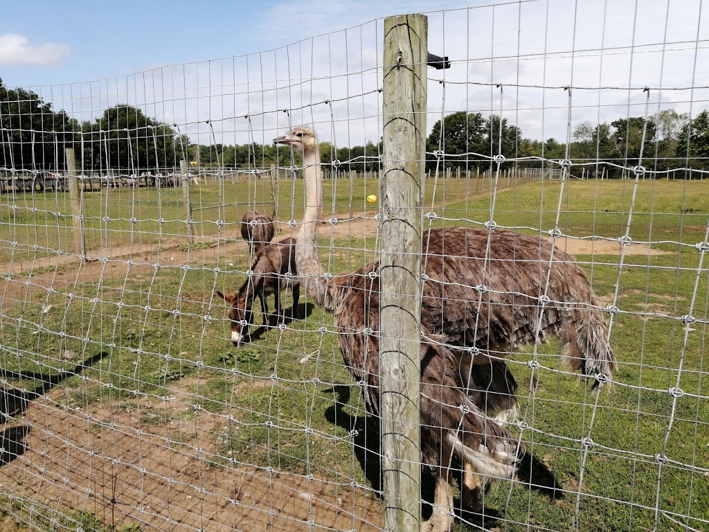 Oaklawn Farm Zoo | 1007 Ward Rd, Aylesford, NS B0P 1C0, Canada | Phone: (902) 847-9790