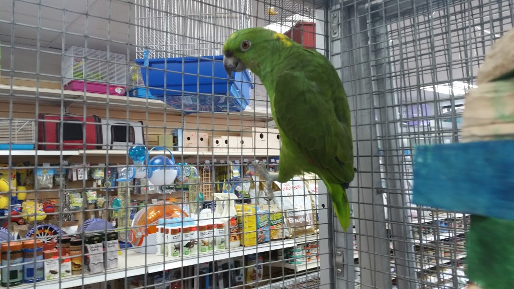 Central Pet Oshawa | 1100 Simcoe St N, Oshawa, ON L1G 4W6, Canada | Phone: (905) 240-7387