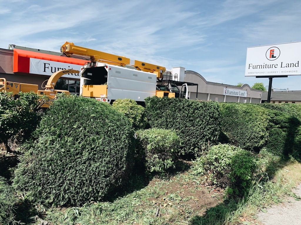 Diamond Tree Service | 5390 Beharrell Rd, Abbotsford, BC V3G 1P8, Canada | Phone: (604) 832-2317