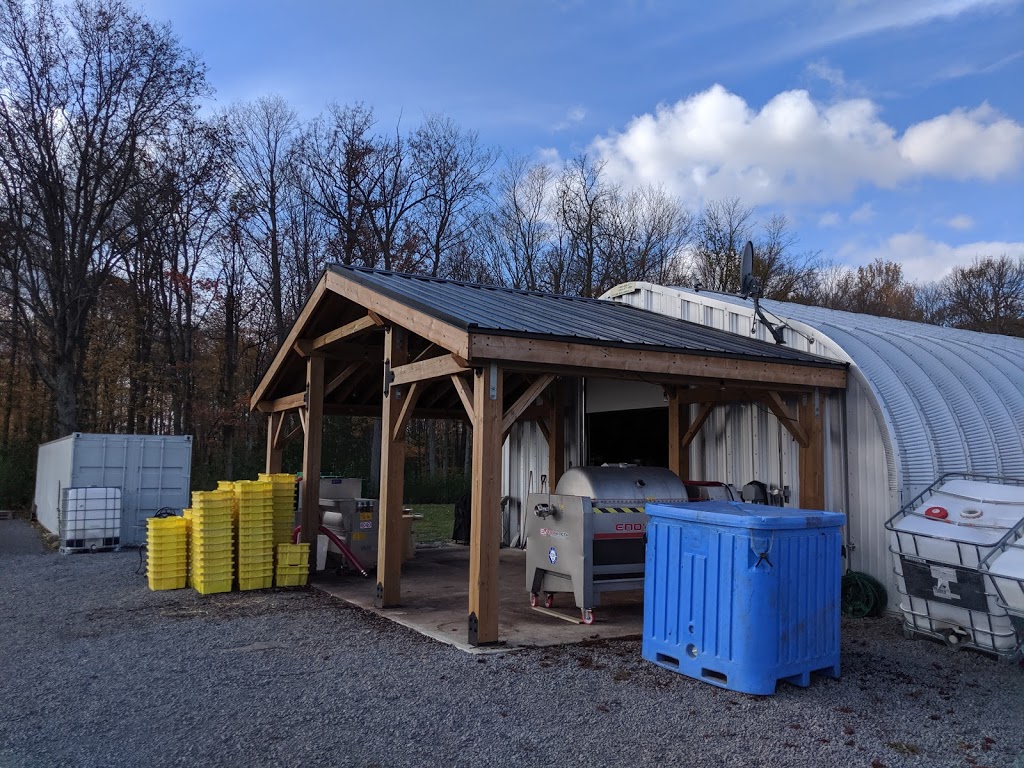 Morandin Wines | 18055 Loyalist Pkwy, Wellington, ON K0K 3L0, Canada | Phone: (416) 948-0746