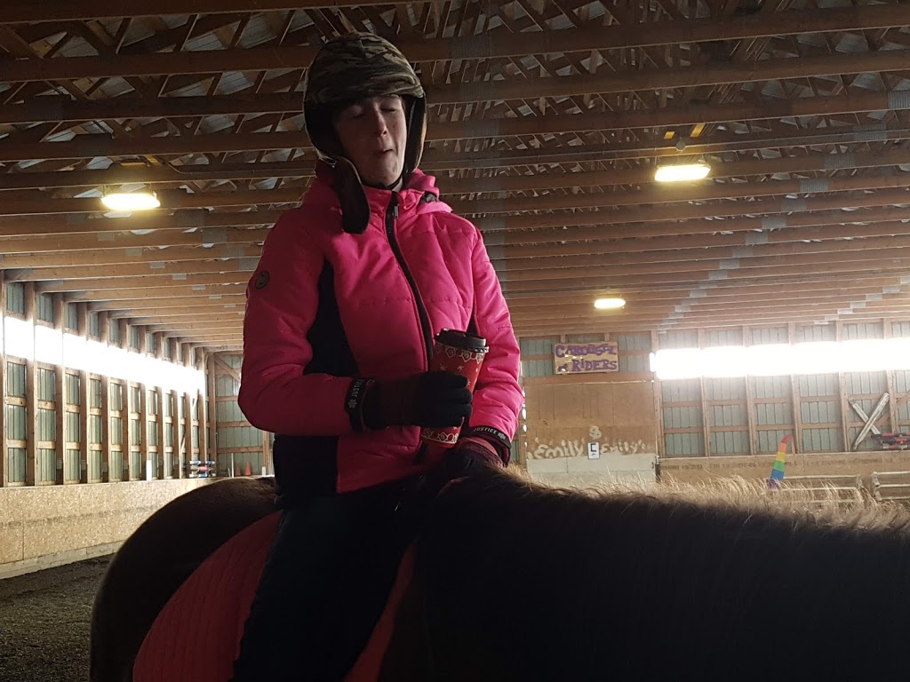 carousel riders | Moose Jaw No. 161, SK S0H 0N0, Canada | Phone: (306) 684-1289