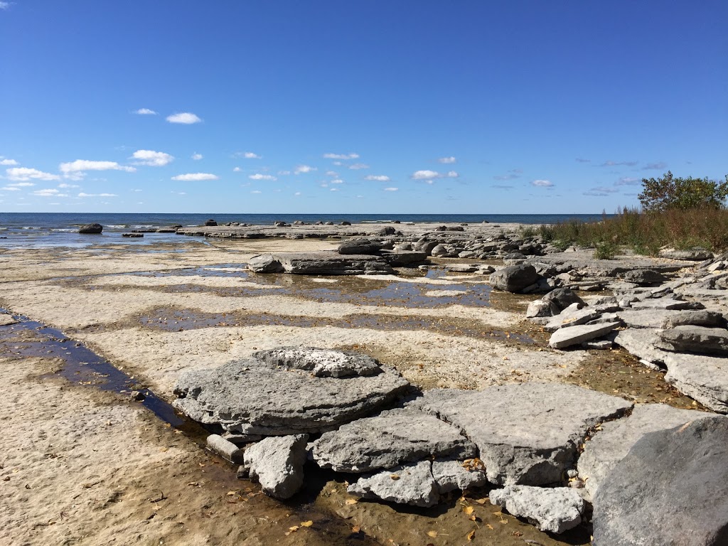 El Dorado Beach Preserve | Grandjean Rd, Henderson, NY 13650, USA | Phone: (315) 387-3600