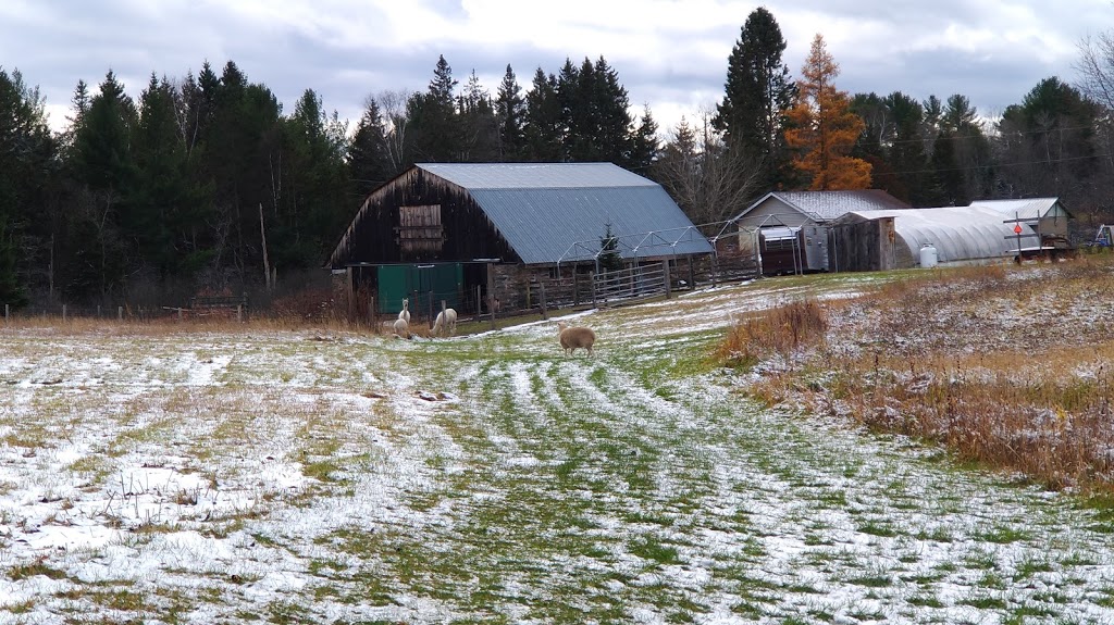 Barkway Farms | 1043 Hopkins Rd, Gravenhurst, ON P1P 1R3, Canada | Phone: (705) 606-2214