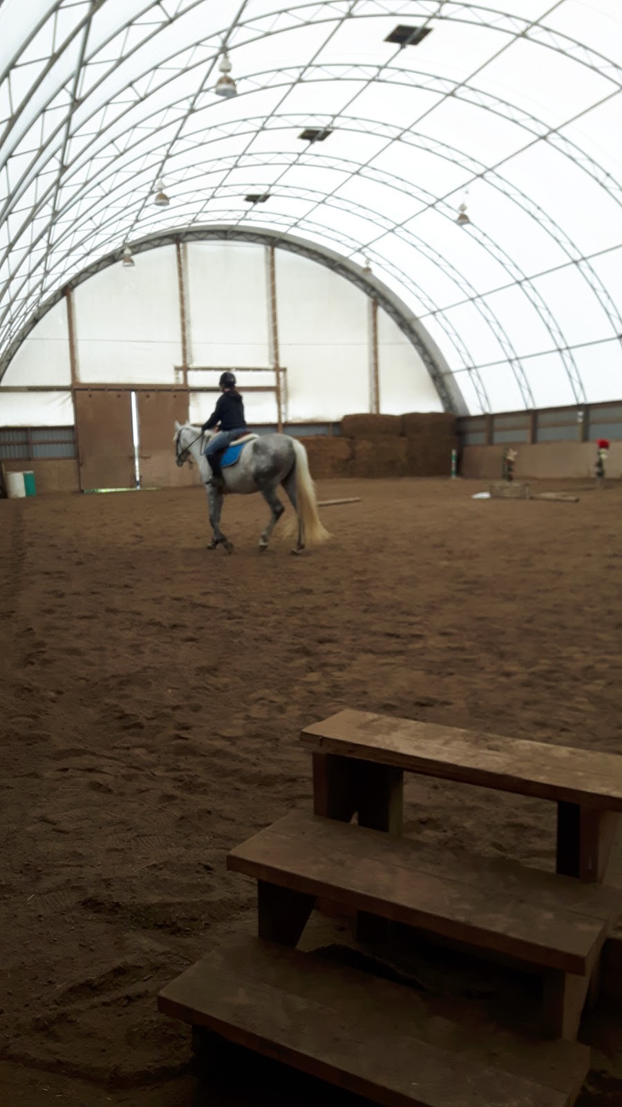 Run 2 You Stables | 1911 Erbs Rd, Baden, ON N3A 3M3, Canada | Phone: (519) 568-1471