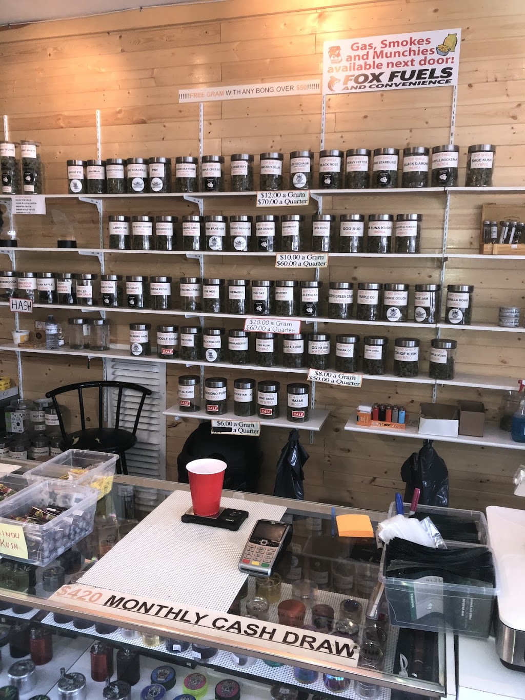 Forever Green | 266 York Rd, Shannonville, ON K0K 3A0, Canada | Phone: (613) 707-1870