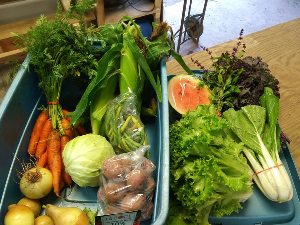 Ferme coop la Rosée | 115 Rang Saint Augustine, Notre-Dame-de-la-Paix, QC J0V 1P0, Canada | Phone: (819) 918-5358