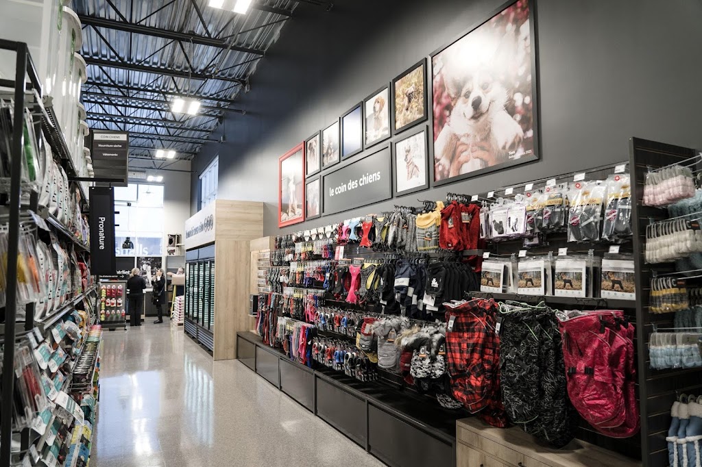 Mondou | 584 Chem. de Touraine Suite 200, Boucherville, QC J4B 8S5, Canada | Phone: (450) 655-4486