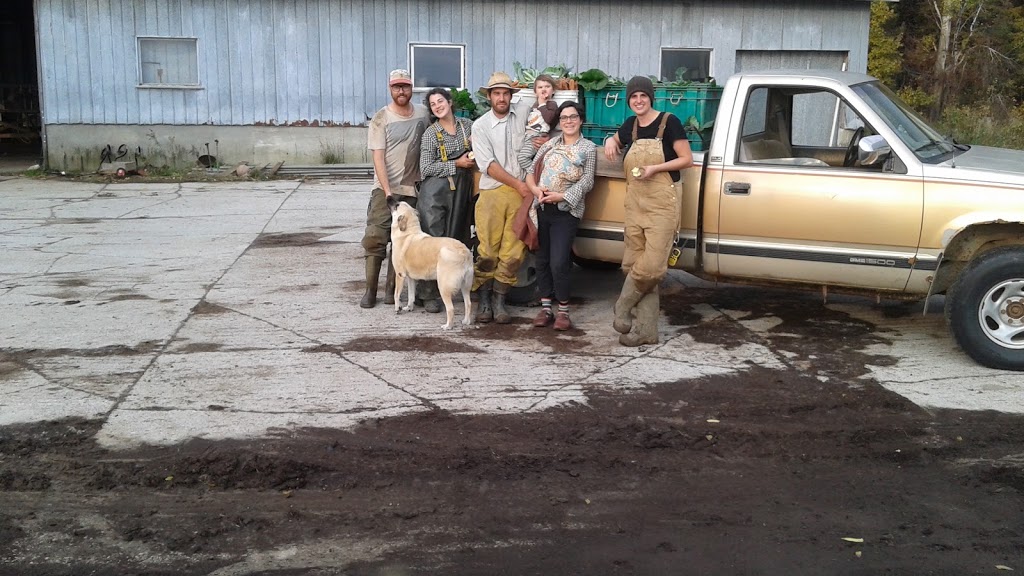 Cedar Down Farm | 222145 Concession Rd 14, Neustadt, ON N0G 2M0, Canada | Phone: (519) 665-2008
