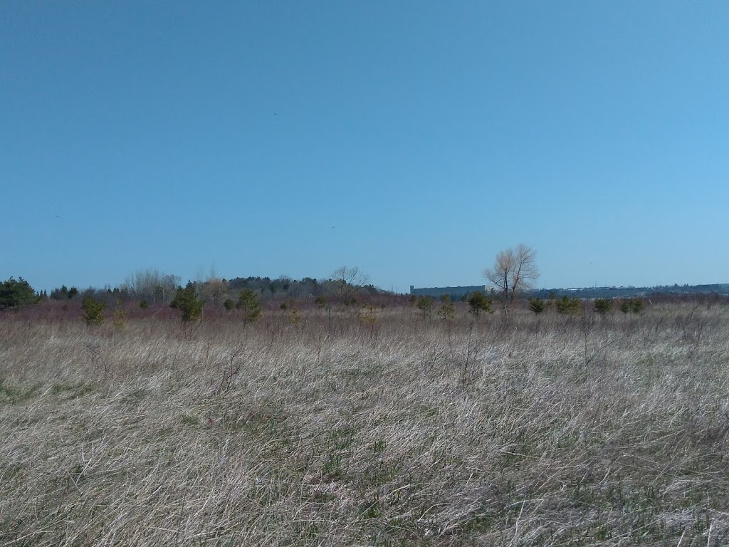 Centennial Grove | Waterfront Trail, Whitby, ON L1N 9W1, Canada