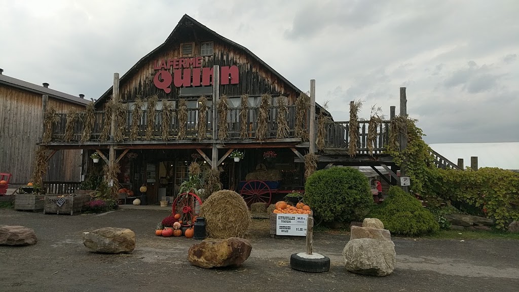 Quinn Farm | 2495 Boulevard Perrot, Notre-Dame-de-lÎle-Perrot, QC J7V 8P4, Canada | Phone: (514) 453-1510