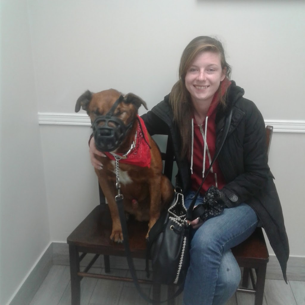 VCA Canada Pretoria Animal Hospital | 16 Pretoria Ave, Ottawa, ON K1S 1W7, Canada | Phone: (613) 565-0588