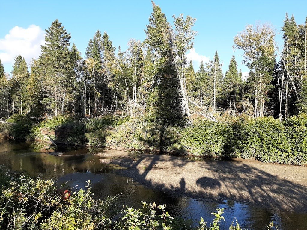 Refuge Rustic | 250 Rue des Cascades, Lac-Etchemin, QC G0R 1S0, Canada | Phone: (418) 957-5587