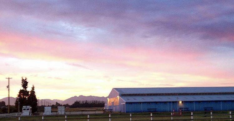 Riverside Equestrian Centre Inc | 13751 Garden City Rd, Richmond, BC V7A 2S5, Canada | Phone: (604) 271-4186