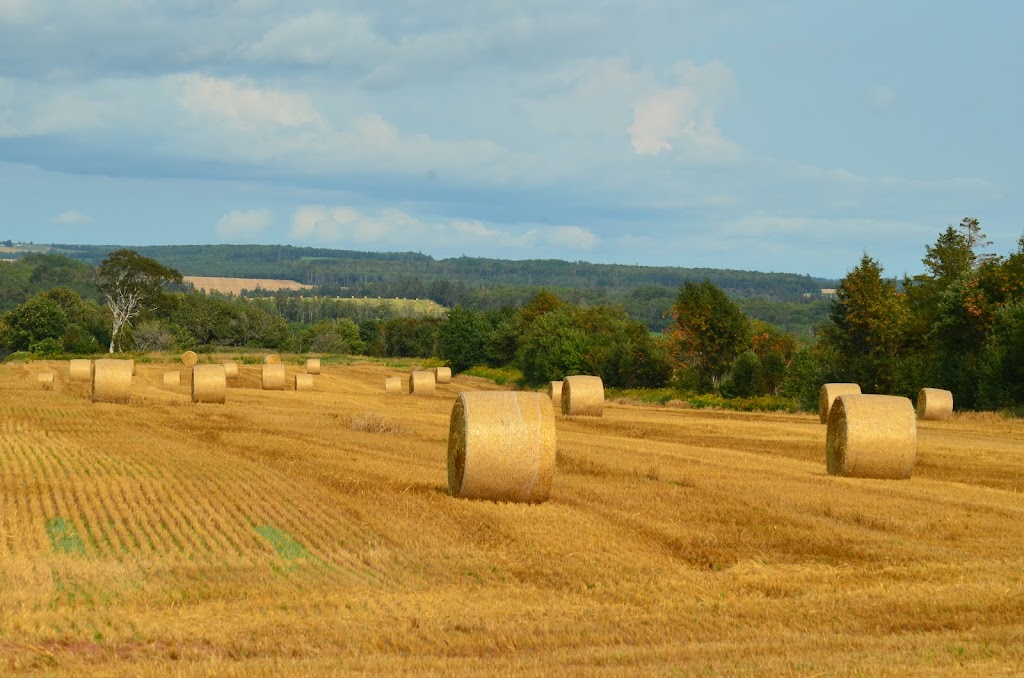 PEI Federation of Agriculture (PEIFA) | 159 Sherwood Rd Unit 100, Charlottetown, PE C1E 0E5, Canada | Phone: (902) 368-7289