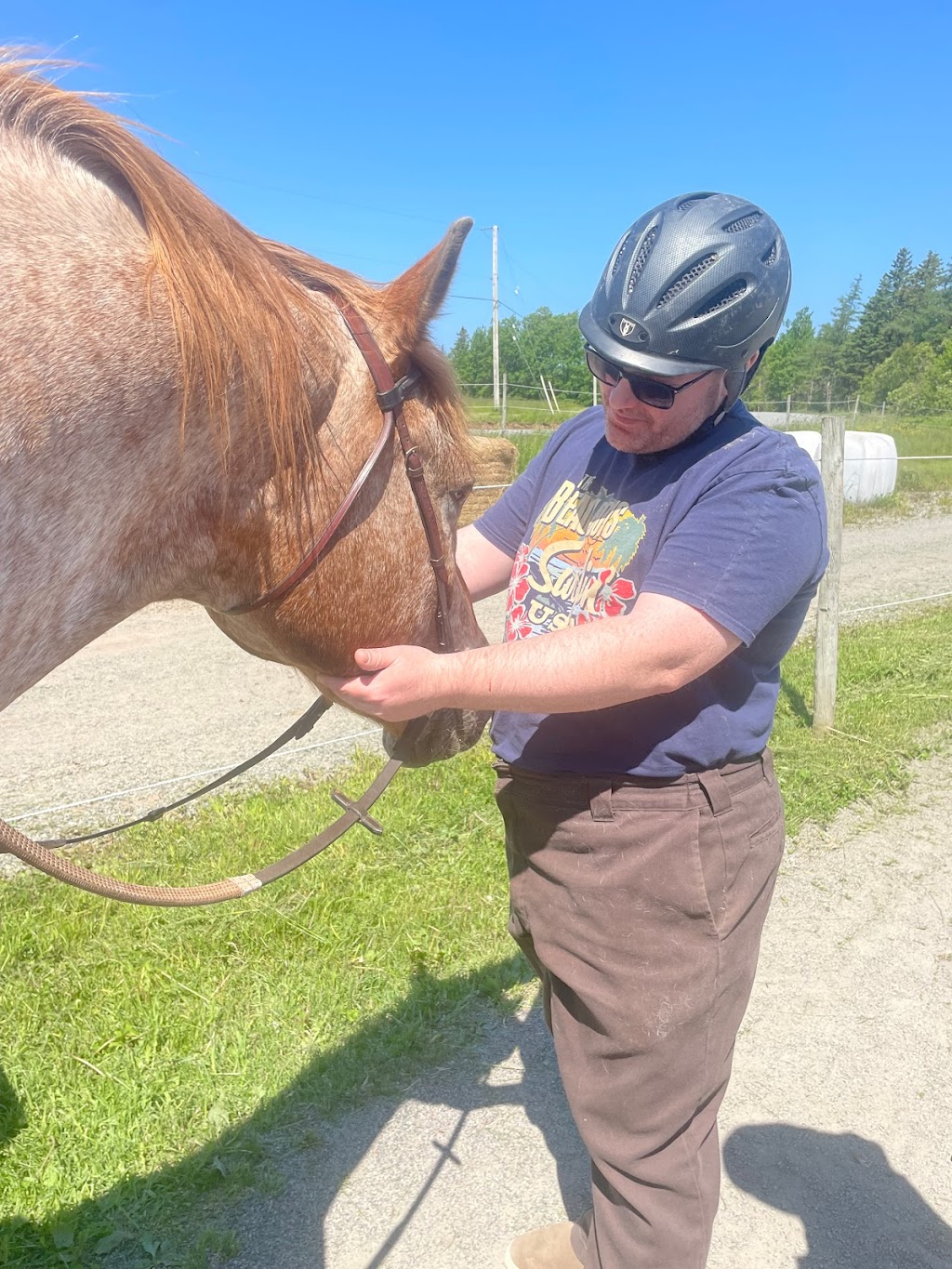 Reaching Strides Equestrian Centre | 423 Dunmore Rd, Port Hood, NS B0E 2W0, Canada | Phone: (902) 870-1583