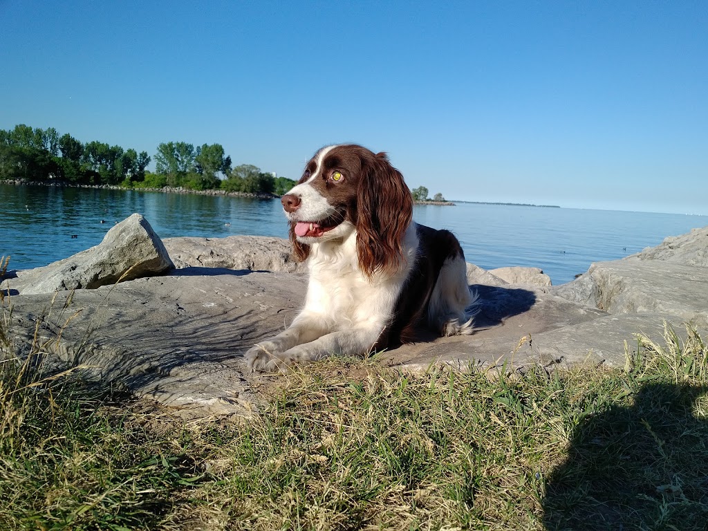 Mimico Waterfront Park | Toronto, ON M8V 1S3, Canada | Phone: (416) 203-2500