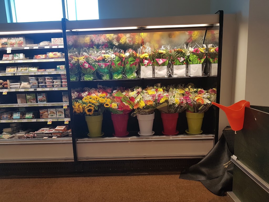 IGA Louise Ménard | 299 Bd Sir-Wilfrid-Laurier, Saint-Lambert, QC J4R 2L1, Canada | Phone: (450) 923-9399