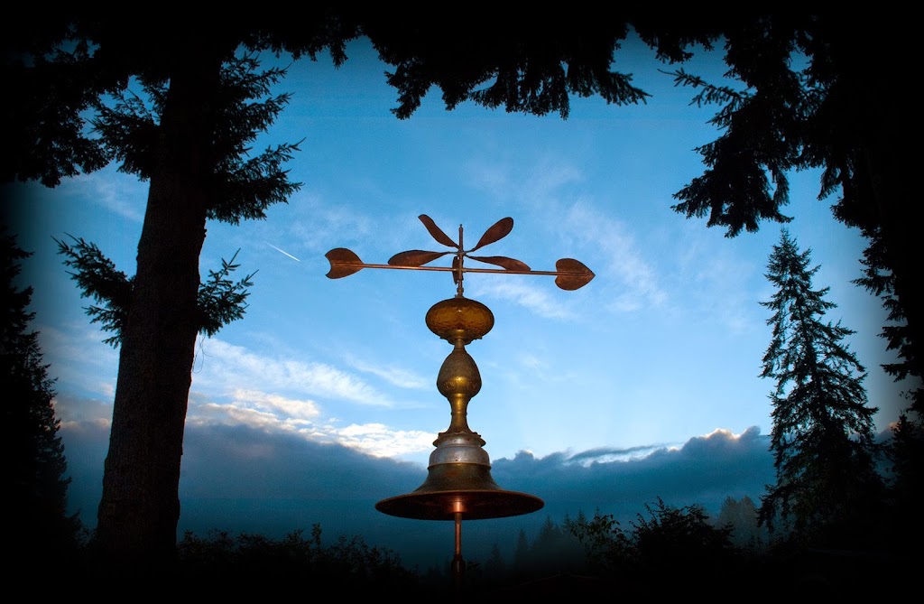 Douglas Walker Sculpture Studio | 8138 N Island Hwy, Black Creek, BC V9J 1H1, Canada | Phone: (250) 337-8417