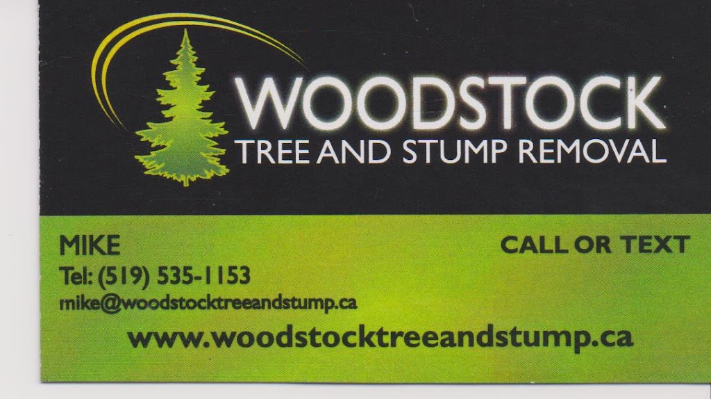 Woodstock Tree and Stump Removal | 495117 10 Line, Woodstock, ON N4S 7V7, Canada | Phone: (519) 535-1153