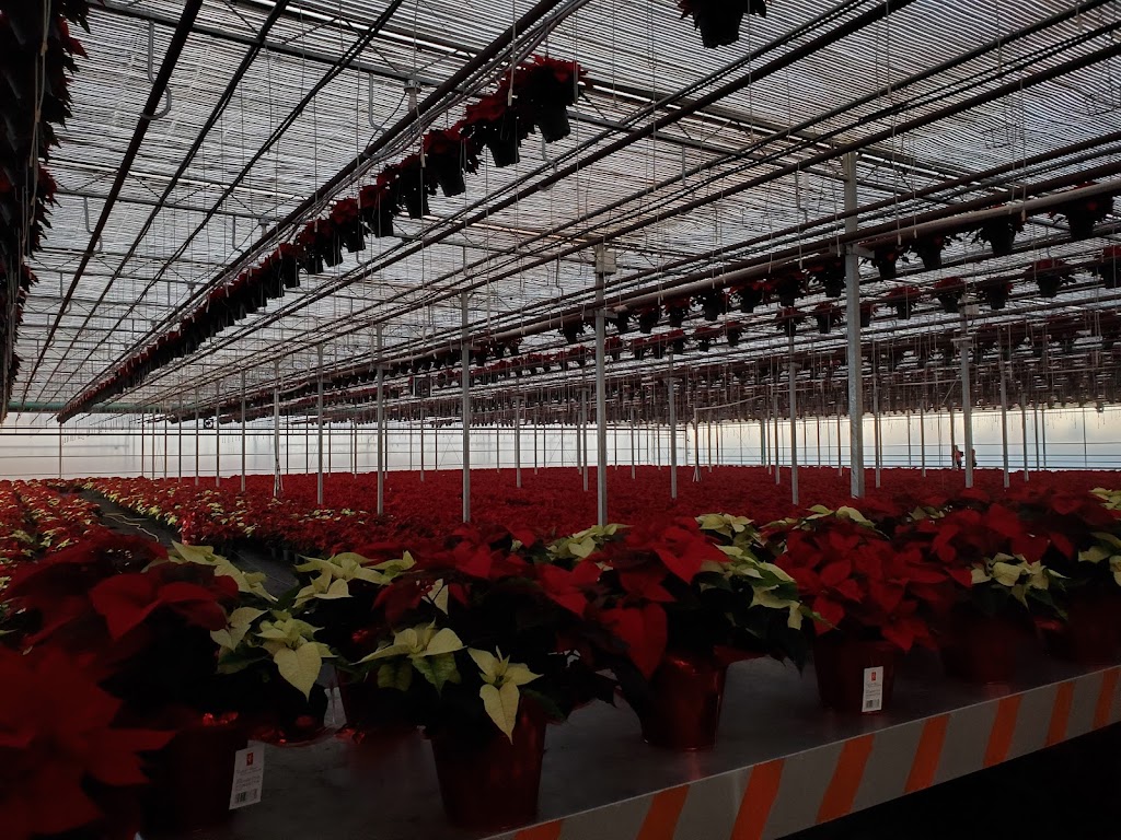 Forest Glen Greenhouse | 664 Brentwood Rd, Brookfield, NS B0N 1C0, Canada | Phone: (902) 673-3387