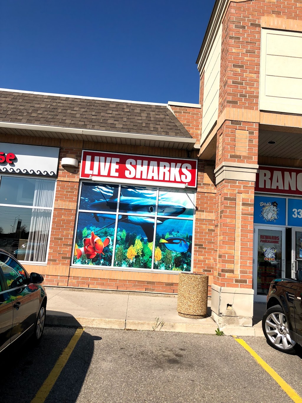 Big Al's Aquarium Services 3300 Rutherford Rd, Concord, ON L4K 5Z2