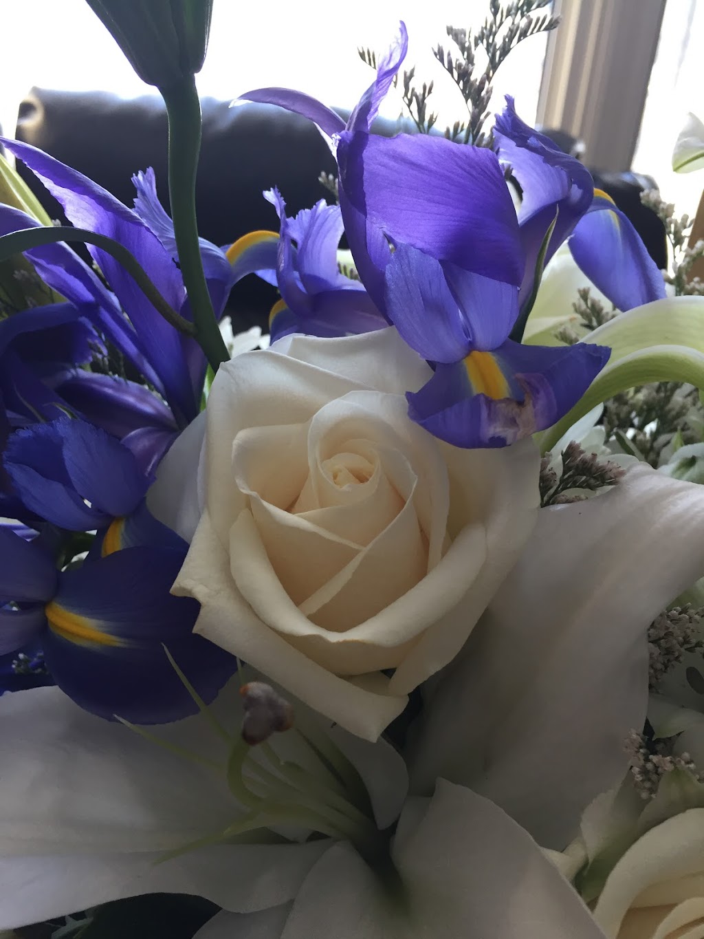 Wojciks Funeral Chapel & Crematorium | 1020 Main St, Winnipeg, MB R2W 3R1, Canada | Phone: (204) 586-8668