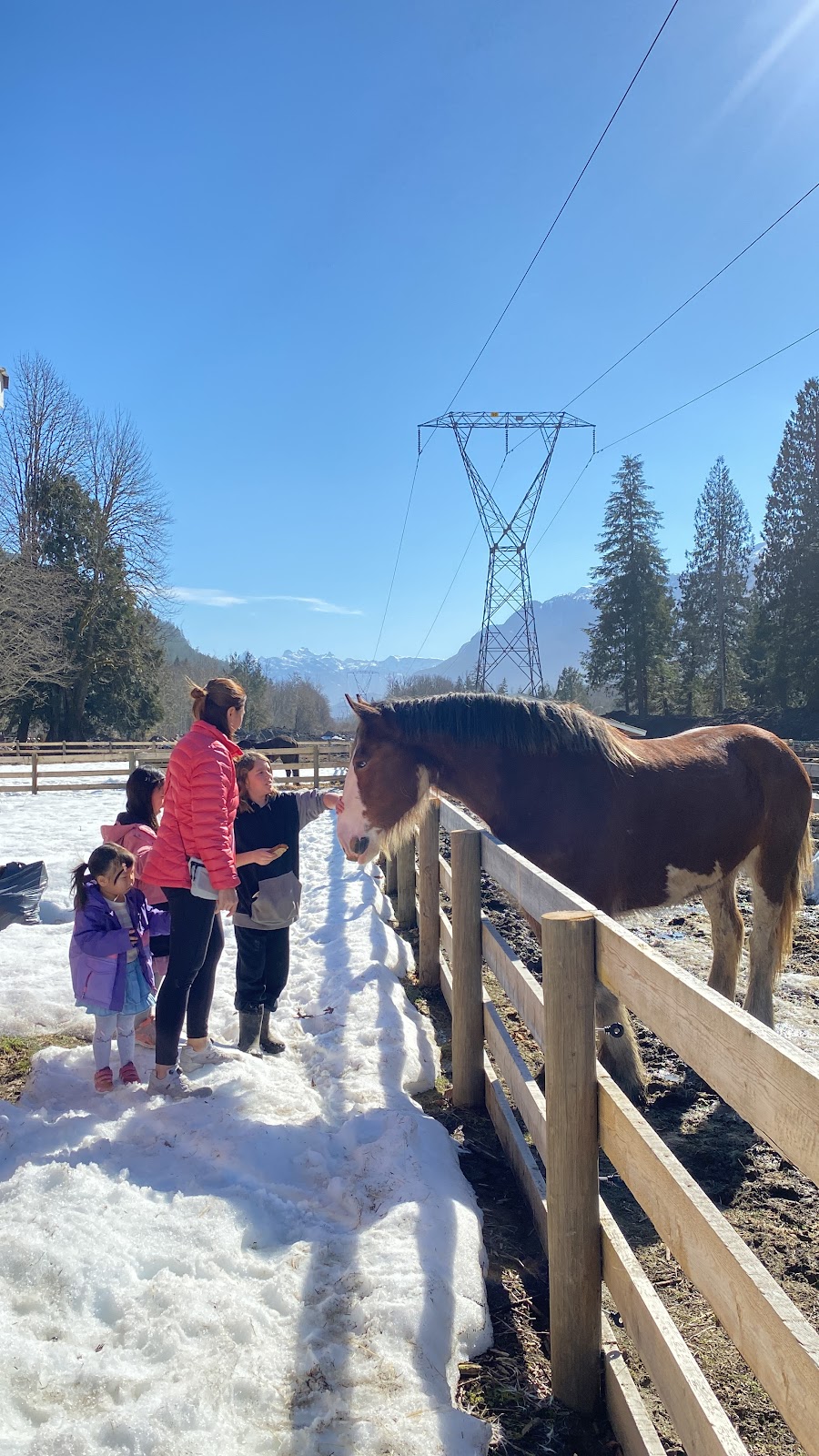 Glacier Valley Farm | 12825 Squamish Valley Rd, Brackendale, BC V0N 1H0, Canada | Phone: (604) 902-5951