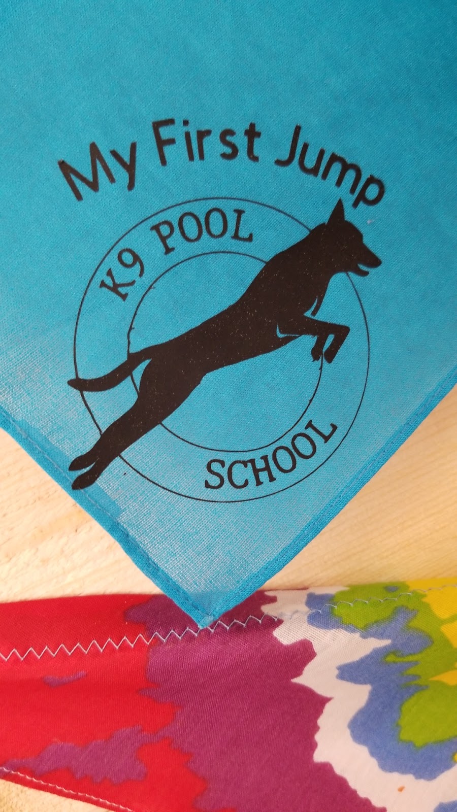 K9 Pool School | 29837 Simpson Rd, Abbotsford, BC V4X 1B9, Canada | Phone: (604) 615-9491
