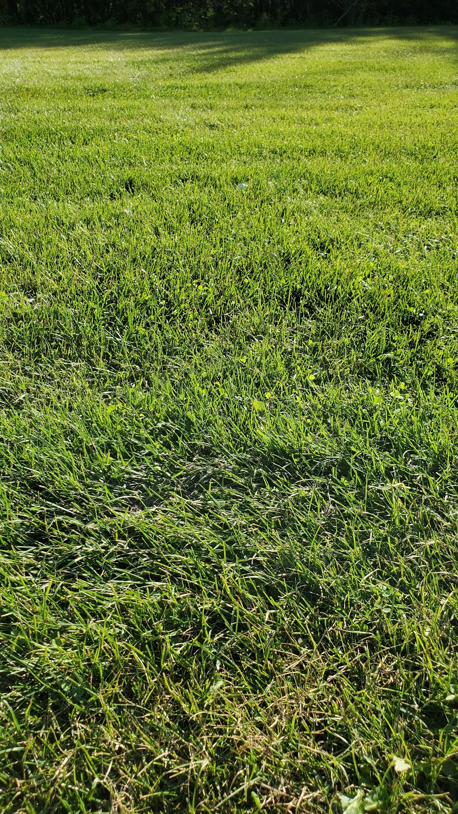 Willow Greens Golf Resort | AB-771, Westerose, AB T0C 2V0, Canada | Phone: (780) 586-2071