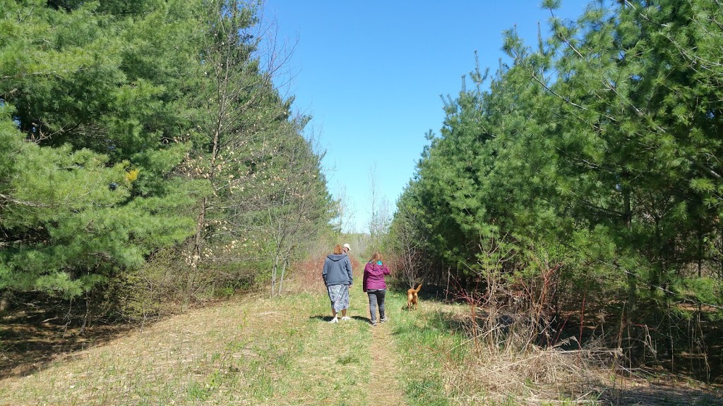 Tauvette Park | 2436 Innes Rd, Gloucester, ON K1B 3A1, Canada | Phone: (613) 222-2222
