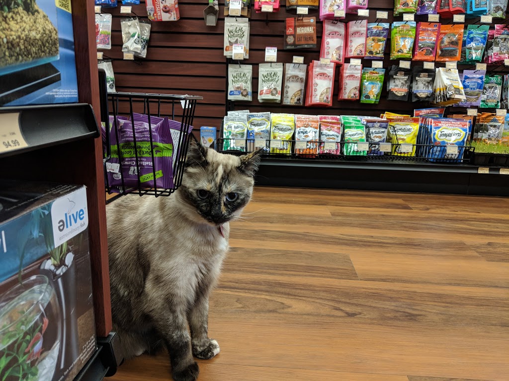 Bosleys by Pet Valu | 20202 66 Ave, Langley Twp, BC V2Y 1P3, Canada | Phone: (778) 277-2705