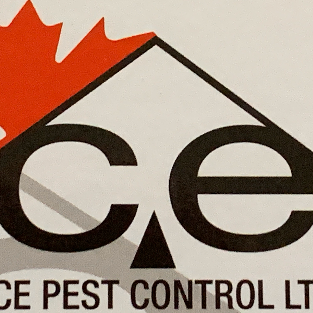 Ace Pest Control Ltd | 17800 59A Ave, Surrey, BC V3S 1R1, Canada | Phone: (778) 872-2223
