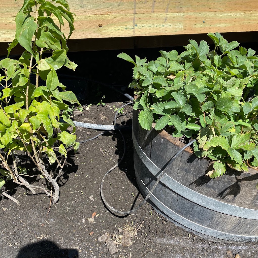 Grizzly Irrigation | 109 Tuscany Meadows Close NW, Calgary, AB T3E 4V1, Canada | Phone: (403) 796-5012