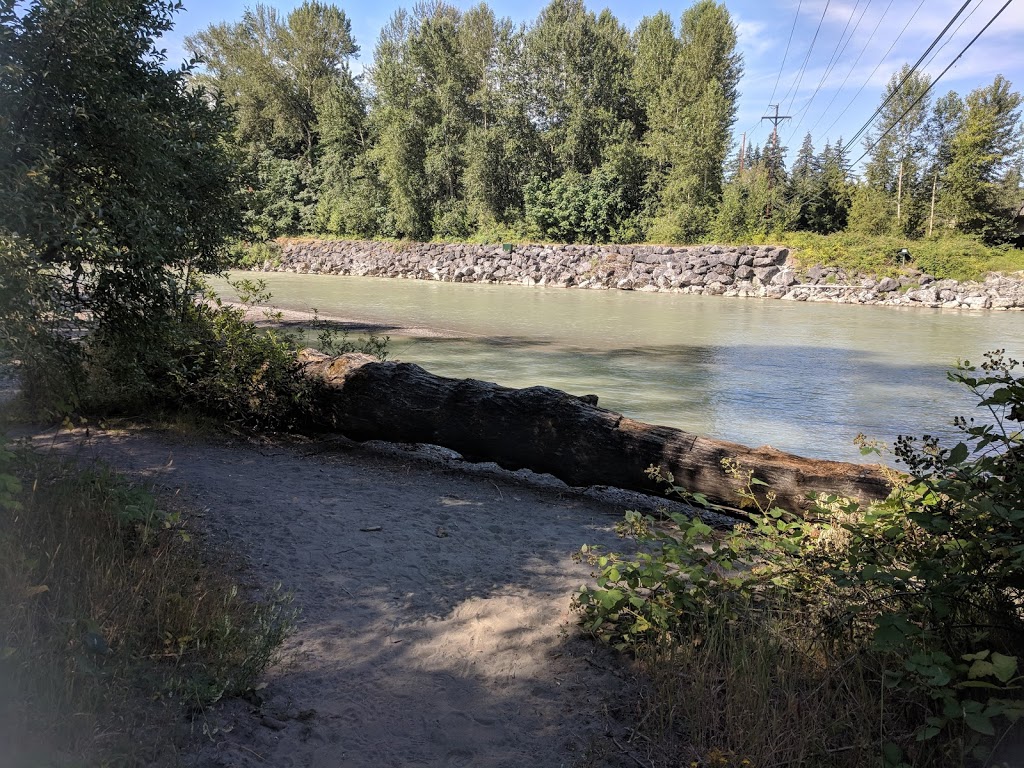 Nugents Corner River Access | 3685 Mt Baker Hwy, Everson, WA 98247, USA | Phone: (360) 599-2776