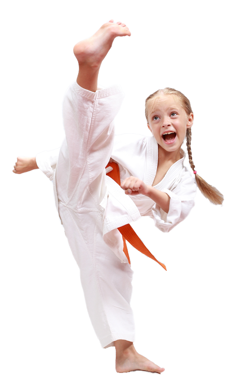Karaté Sunfuki St-Hippolyte | 648 Ch des Hauteurs, Saint-Hippolyte, QC J8A 1C4, Canada | Phone: (514) 884-4959