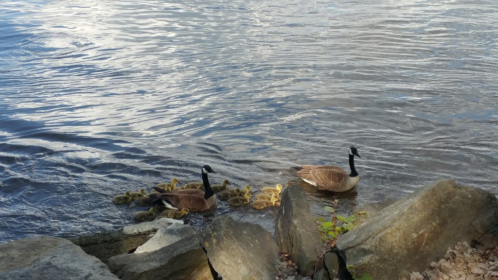 Parc de la Merci | Ahuntsic-Cartierville, Montreal, QC H3M, Canada