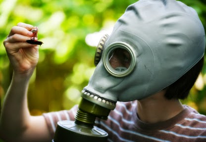 Solutions Pest Control | 6460 Toad Hollow, Whistler, BC V8E 0C5, Canada | Phone: (604) 905-0040