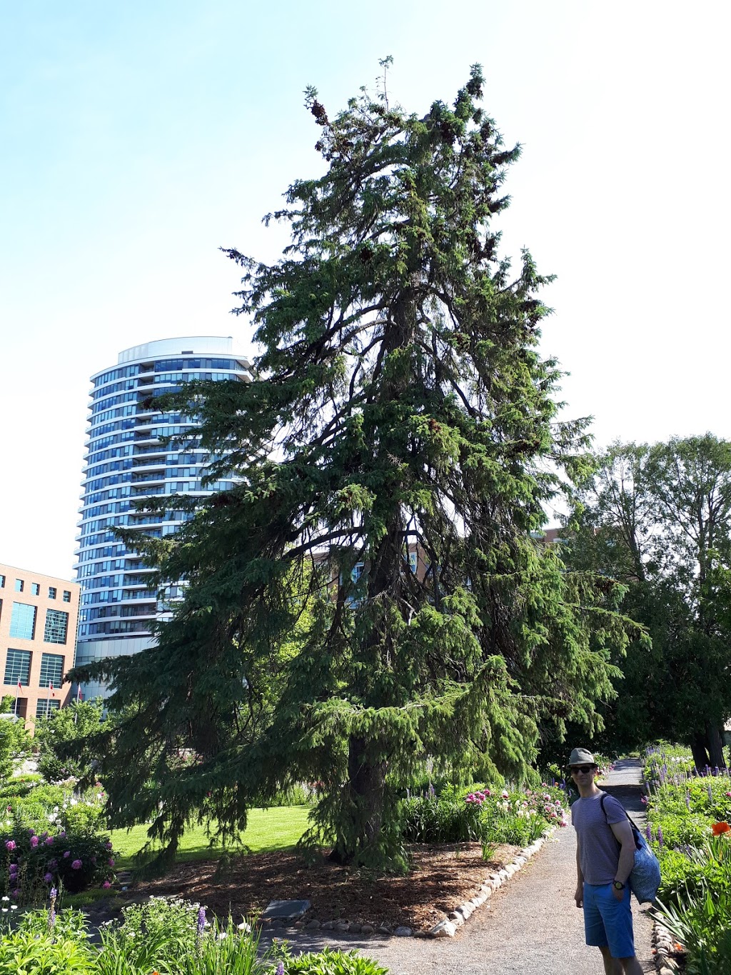 Maplelawn Garden | 497-529 Richmond Rd, Ottawa, ON K2A 0G3, Canada | Phone: (800) 465-1867
