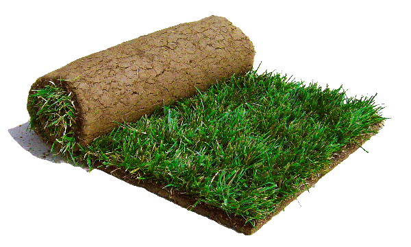 Cochrane Sod Farms Ltd | 10th St, Angus, ON L0M 1B1, Canada | Phone: (705) 424-1307