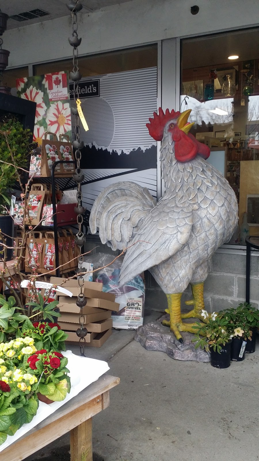 Buckerfields Feeds & Pet Supplies | 1970 Keating Cross Rd, Saanichton, BC V8M 2A6, Canada | Phone: (250) 652-9188