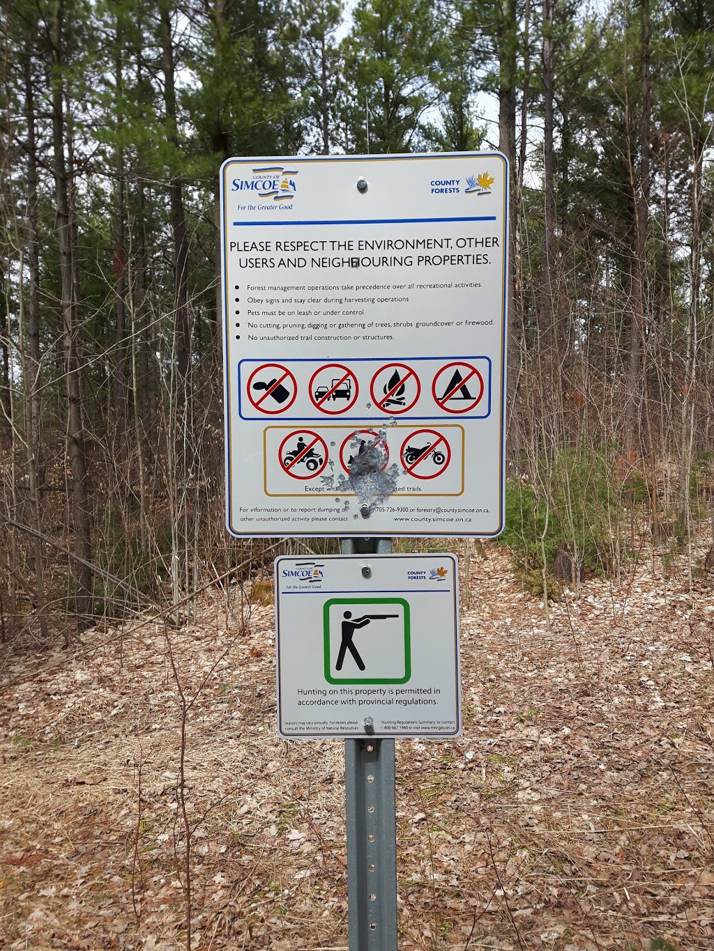 Welsh Tract - Forest Of The Secret Pond Trail | 3741-4367 Line 12, Cookstown, ON L0L 1L0, Canada