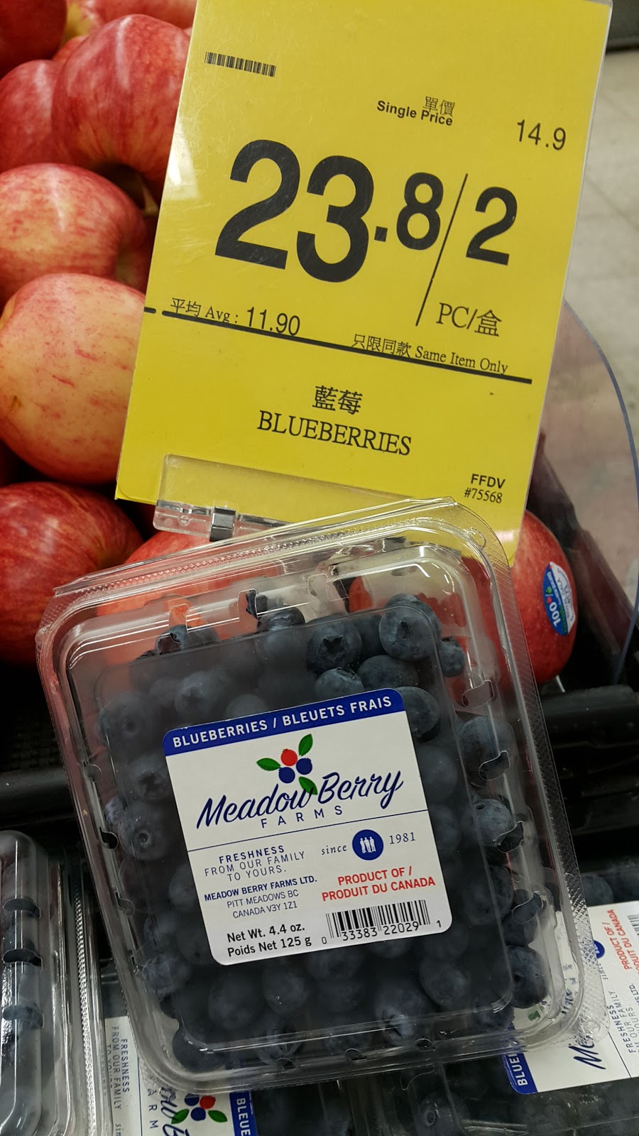 Meadow Berry Farms | 12554 Wooldridge Rd, Pitt Meadows, BC V3Y 1Z1, Canada | Phone: (604) 460-9401