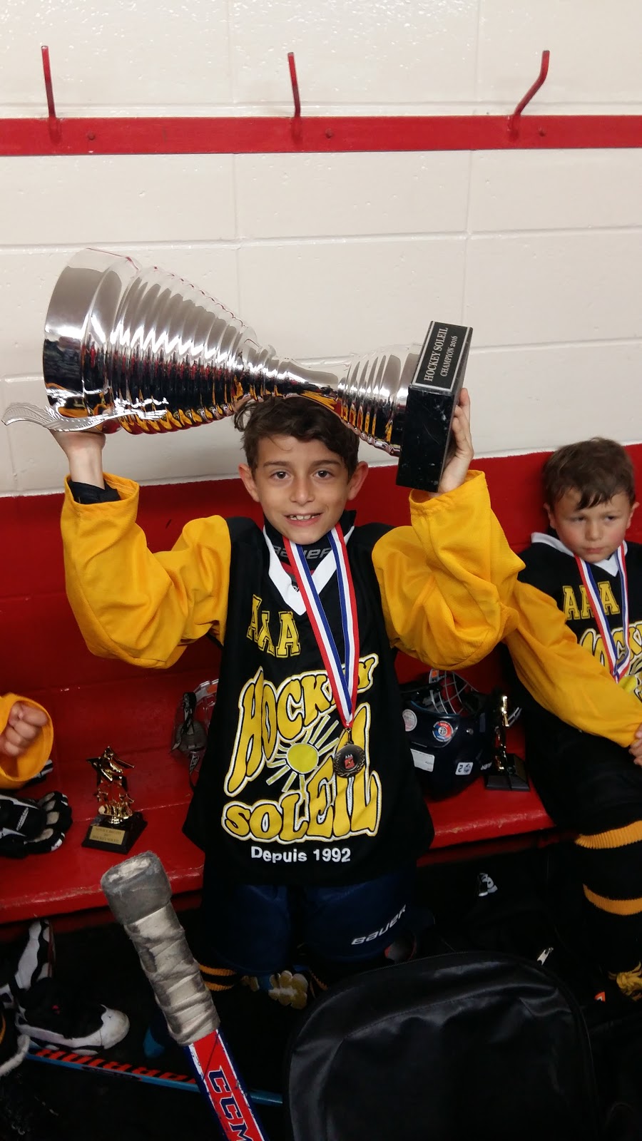Arena Rosemère | 155 Rue Charbonneau, Rosemère, QC J7A 3G1, Canada | Phone: (450) 621-9212