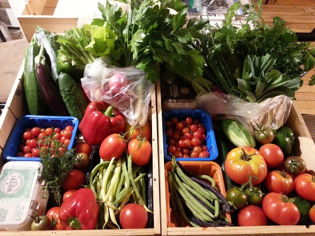 Jardins Naturador | 1000 Chemin Saint Jacques, Crabtree, QC J0K 1B0, Canada | Phone: (438) 862-3182