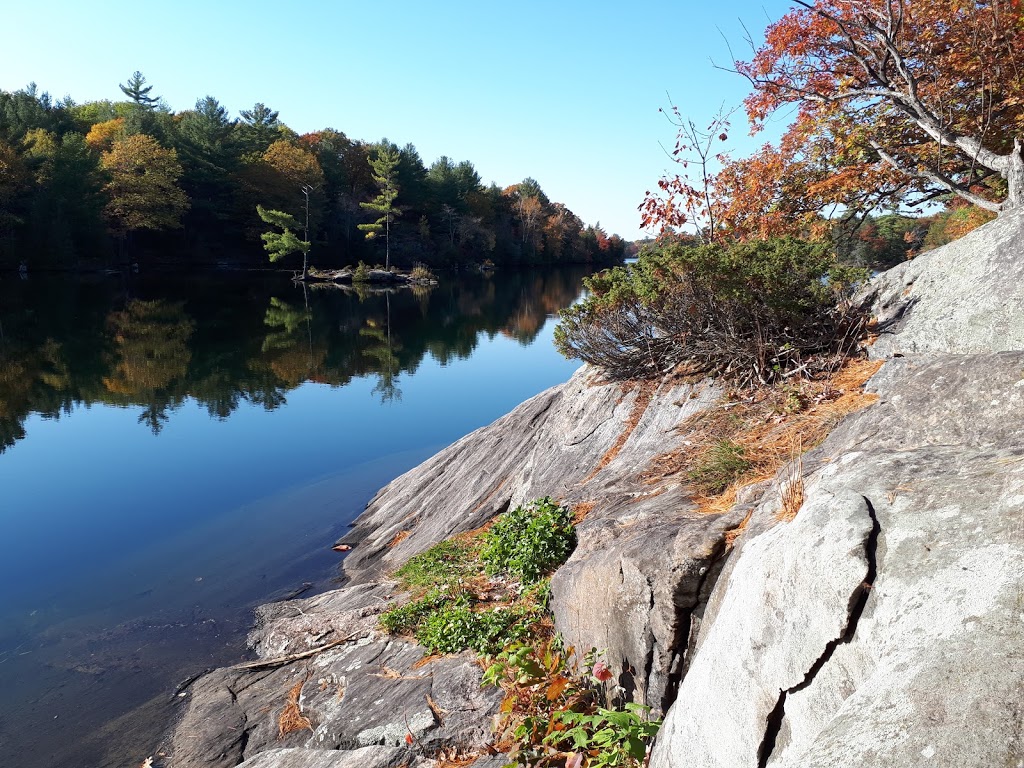 Whites Falls Marina & Construction | 134 Old Mill Rd, Port Severn, ON L0K 1S0, Canada | Phone: (705) 756-2525
