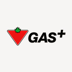 Canadian Tire Gas+ - Hamilton - Stoney Creek | 692 Queenston Rd, Hamilton, ON L8G 1A3, Canada | Phone: (905) 560-4121