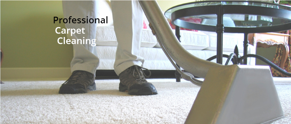 Eco-Pro Services Group | 323 Coventry Rd, Ottawa, ON K1K 3W9, Canada | Phone: (613) 276-8667