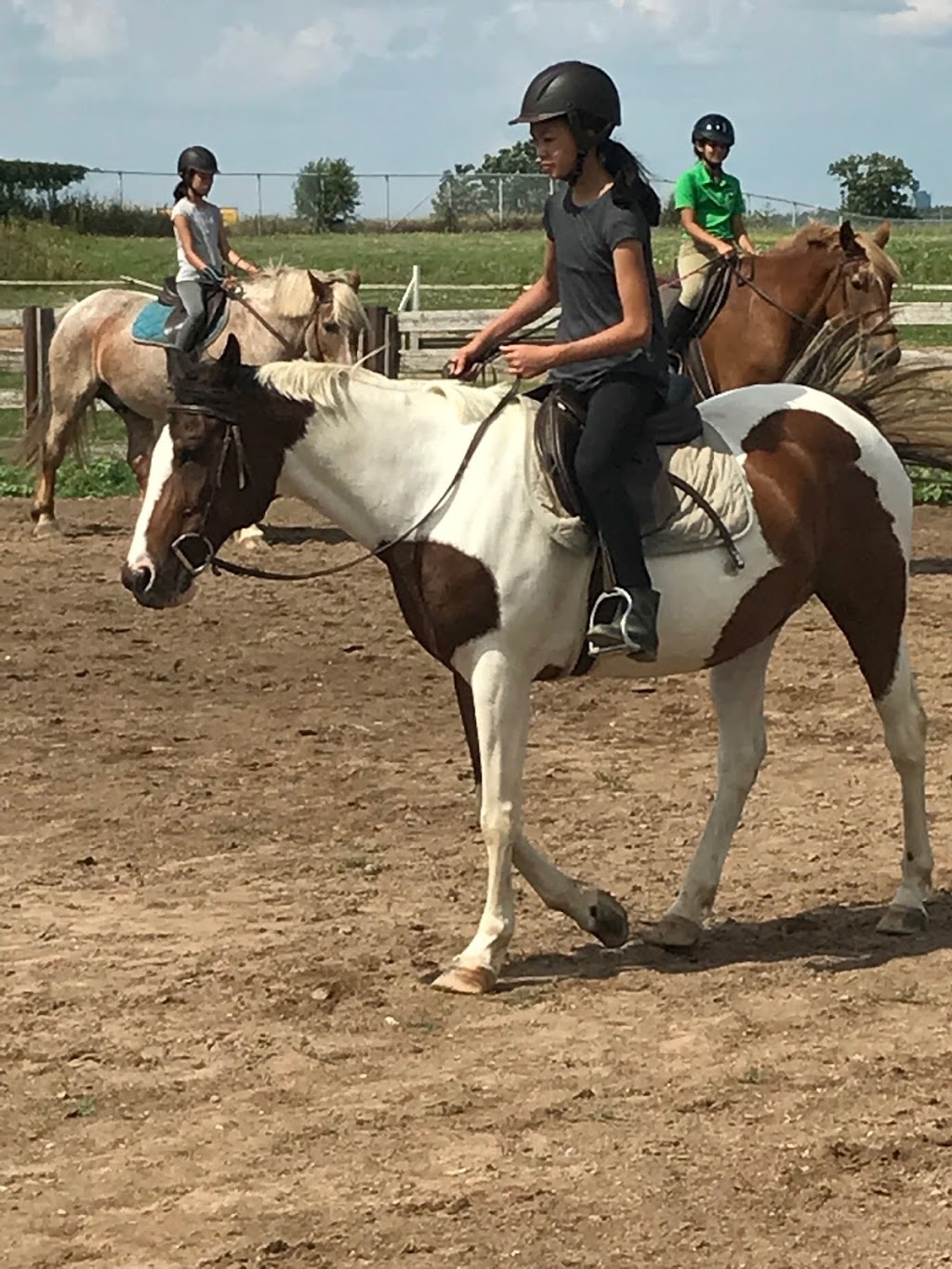 Meadowlarke Stables | 2800 Meadowpine Blvd, Mississauga, ON L5N 8C7, Canada | Phone: (905) 821-0419